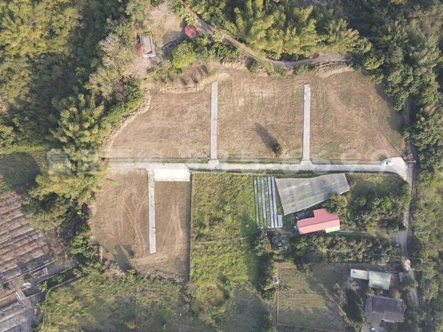 台南大內農地-9