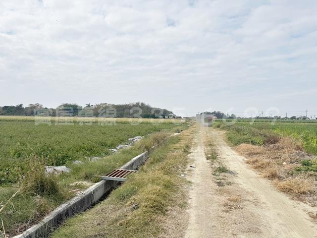 學甲農地-11