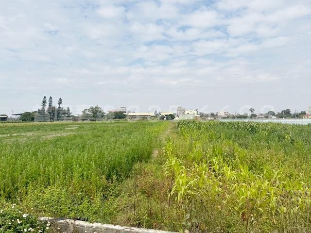 學甲農地-12