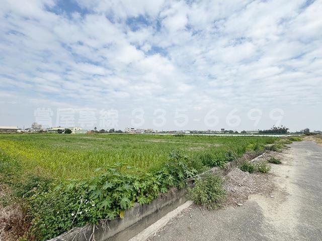 學甲農地-14