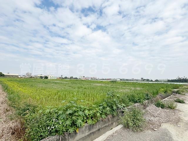 學甲農地-15