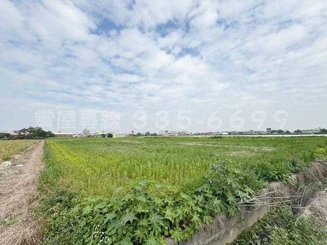 學甲農地-2