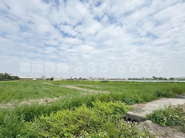 學甲農地-4