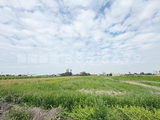 學甲農地-5