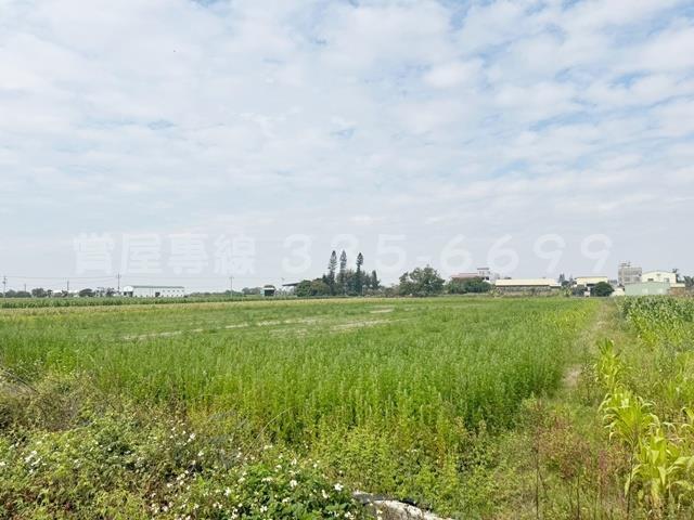 學甲農地-6