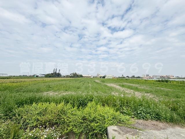 學甲農地-8
