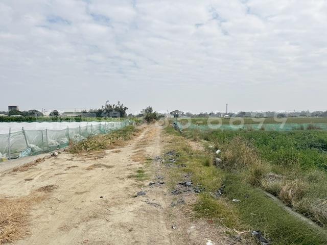 學甲農地-9