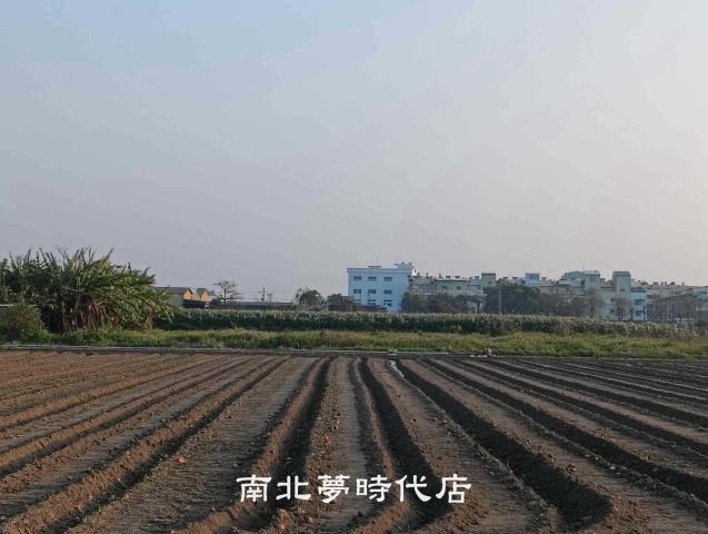 台南佳里農地-10