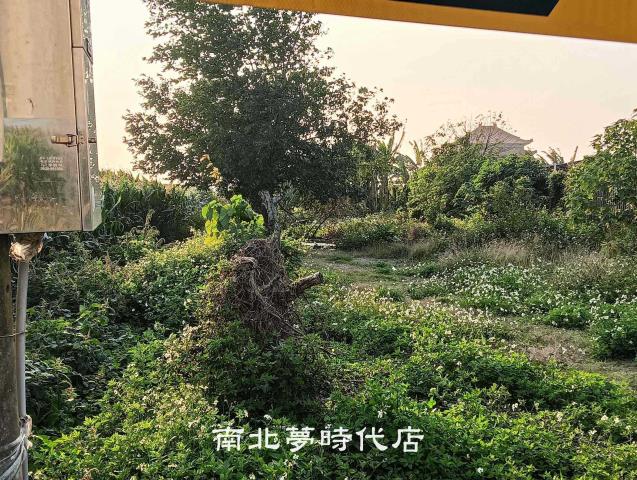 台南佳里農地-1