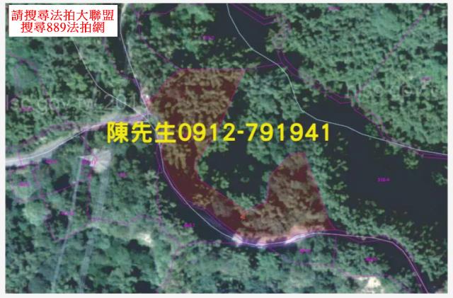 台南龍崎農地法拍-9