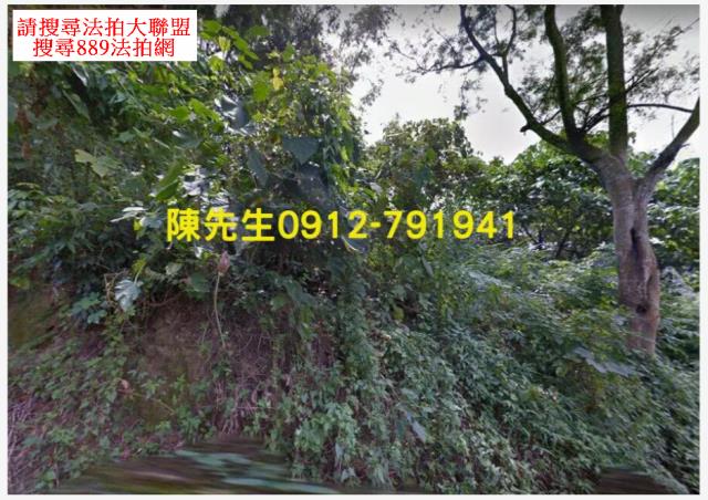 台南龍崎農地法拍-10