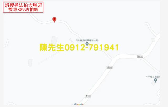 台南龍崎農地法拍-8
