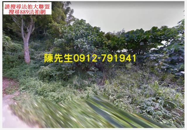 台南龍崎農地法拍-9