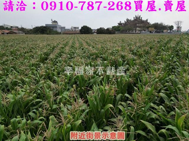新營農地-12