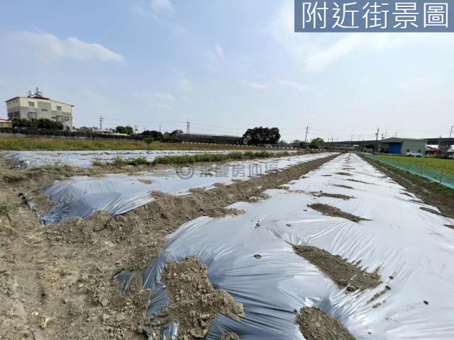 新化農地-12