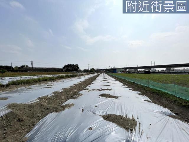 新化農地-4