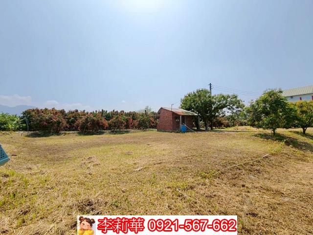台南楠西農地-5