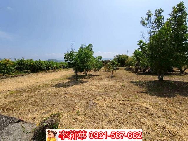 台南楠西農地-6