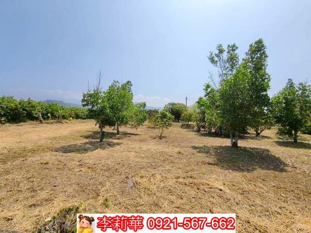 台南楠西農地-7