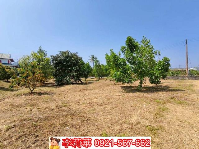 台南楠西農地-8