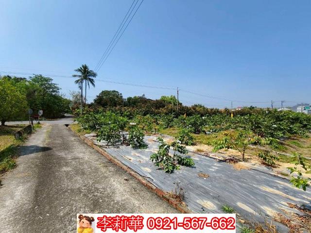 台南楠西農地-9