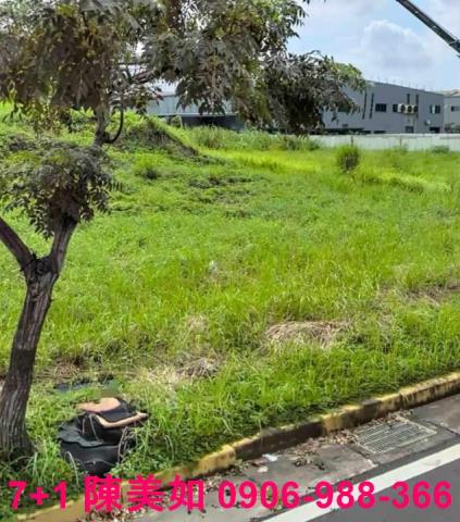 台南永康工業地-1