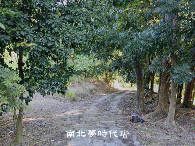 台南農地-2