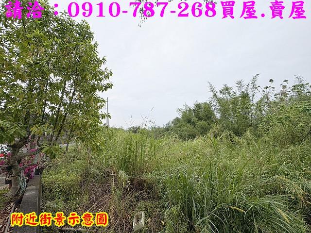 台南關廟農地-10