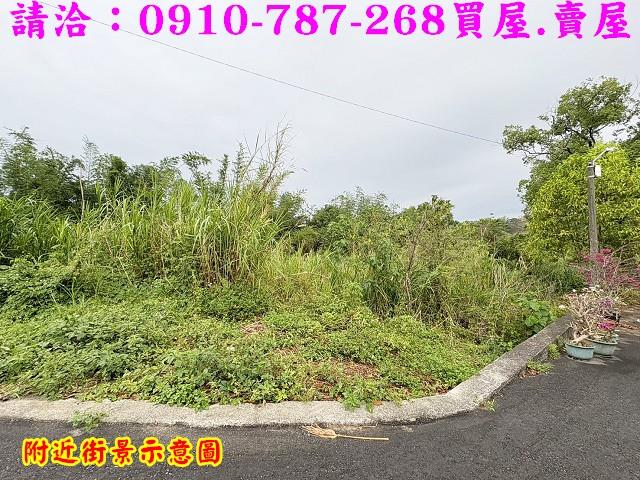 台南關廟農地-11