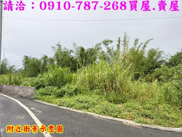 台南關廟農地-4