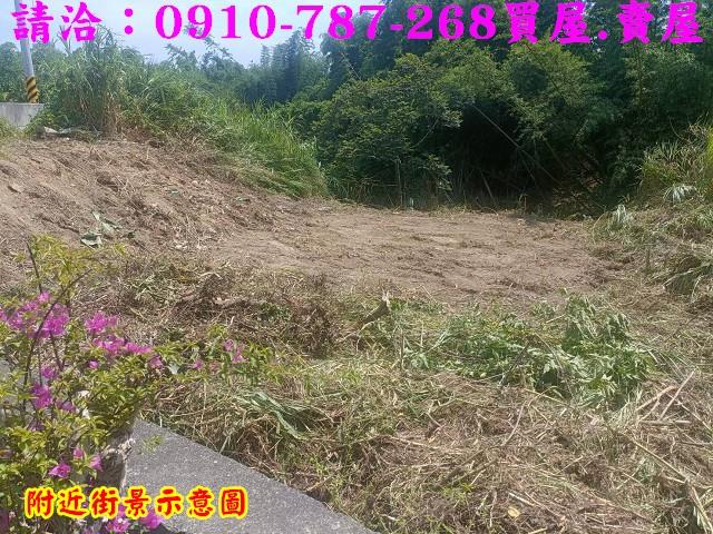 台南關廟農地-9