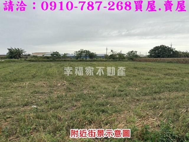 台南新營農地-4