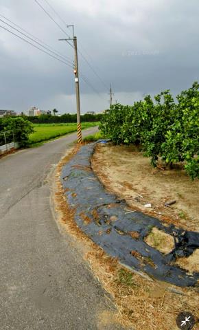 台南麻豆農地-1