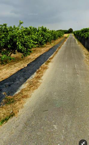 台南麻豆農地-2