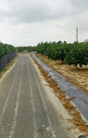 台南麻豆農地-3