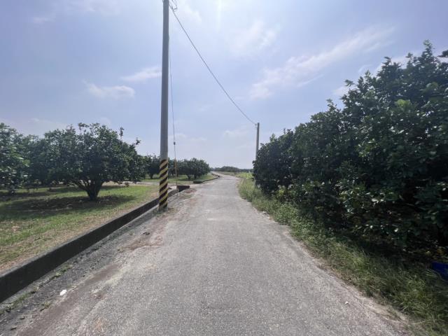 台南麻豆農地-4