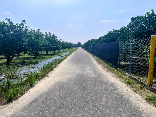 台南麻豆農地-5