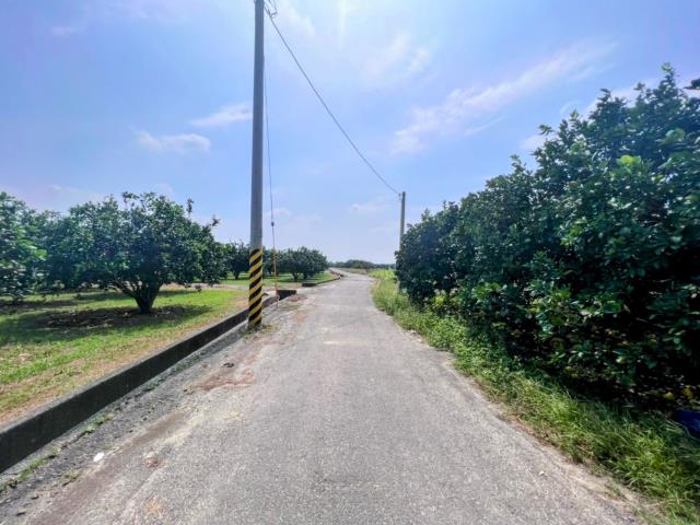 台南麻豆農地-8