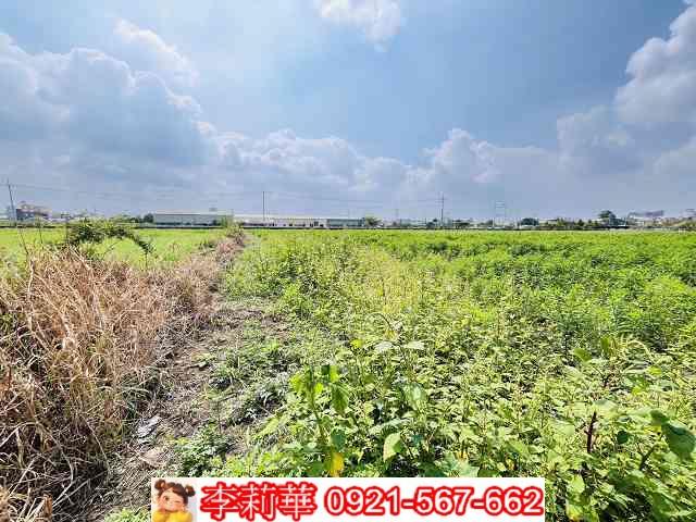 台南農地-7
