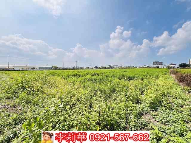 台南農地-8