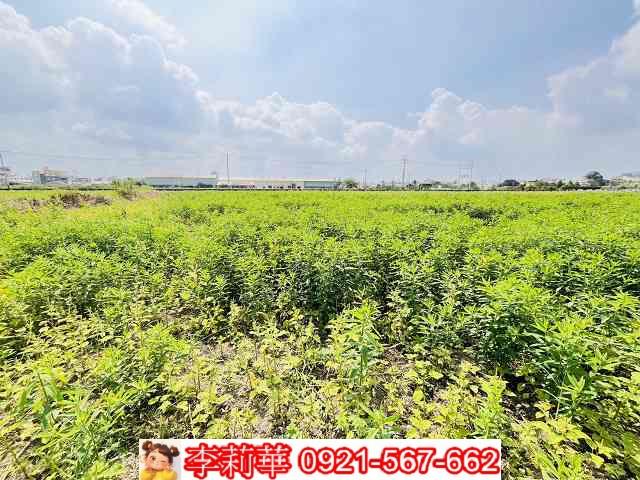 台南農地-9