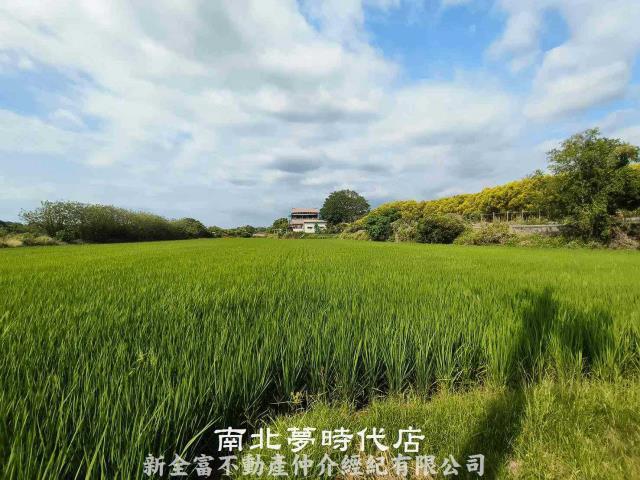 台南六甲農地-3