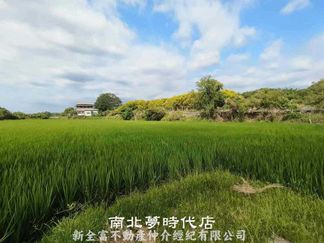 台南六甲農地-4