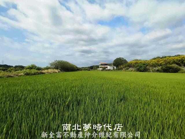 台南六甲農地-6