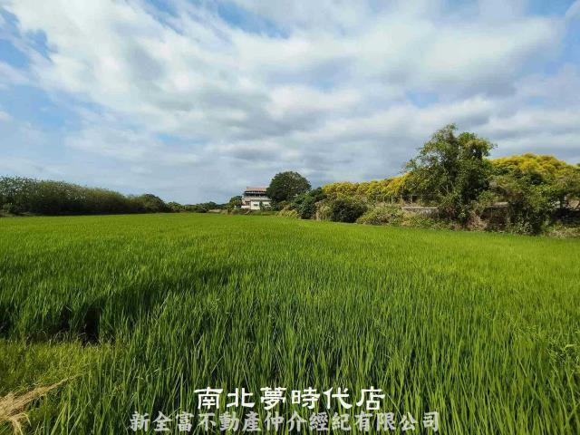 台南六甲農地-7