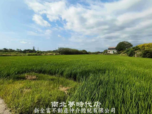 台南六甲農地-8