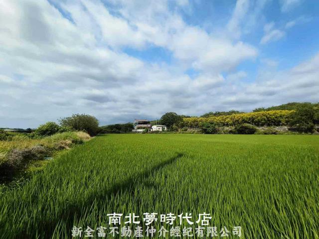 台南六甲農地-9