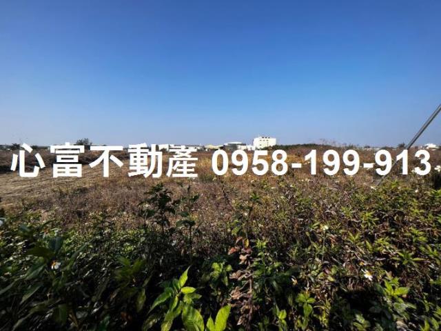 台南麻豆工業地-1