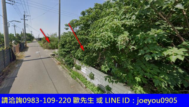麻豆農地法拍-12