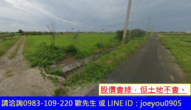 將軍法拍農地-9